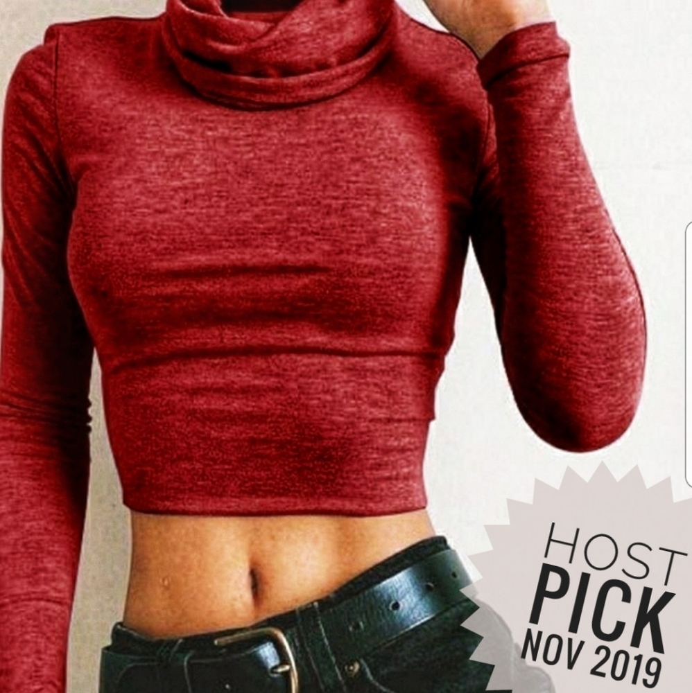 Maroon Crop Top | Large | Sexy Cotton Turtleneck - Picture 1 of 3